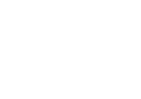 井口庖丁本店